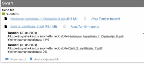Turnitin analyysi
