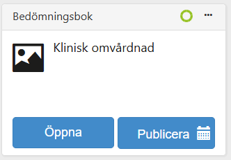 bedömningsbok